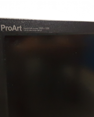 Monitor professionale Asus PA249Q 24,1" widegamut