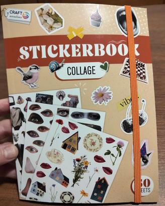 Nuovo album stickers