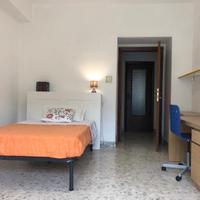 Camera singola in appartamento condiviso