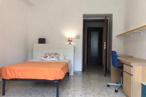 Camera singola in appartamento condiviso