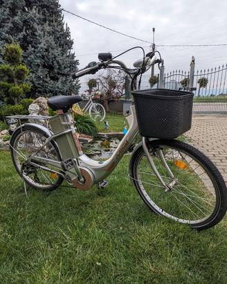 Bicicletta elettrica
