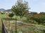 Immagine 11