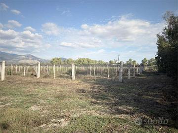 TERRENO AGRICOLO DI 4,8 ETTARI LATINA, ZONA CASAL