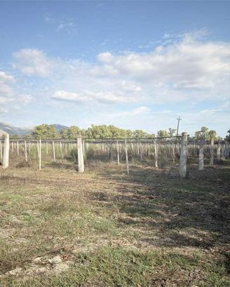 TERRENO AGRICOLO DI 4,8 ETTARI LATINA, ZONA CASAL