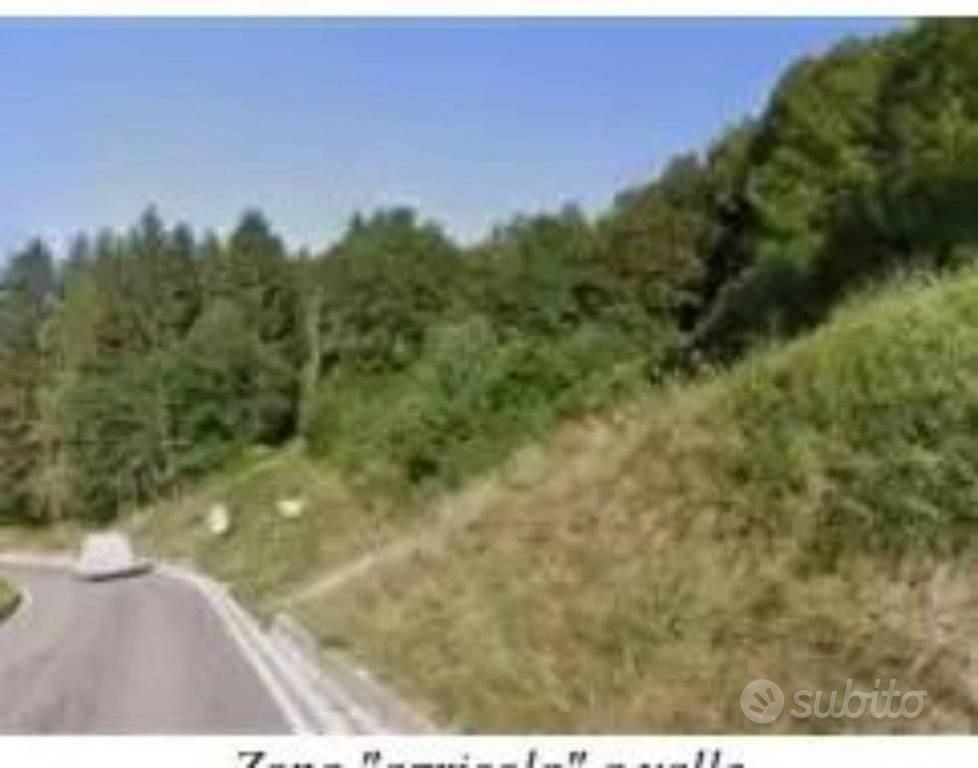 Immobile in asta di 11529 m² a Stenico - Vista 2