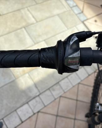 Bicicletta bambino/ragazzo 