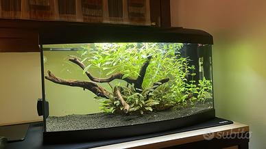Acquario 40L