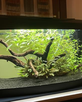 Acquario 40L