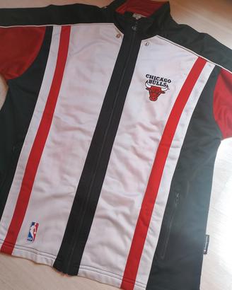 Chicago Bulls felpa ufficiale Champion 