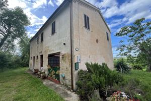 Indipendente a Montecarotto