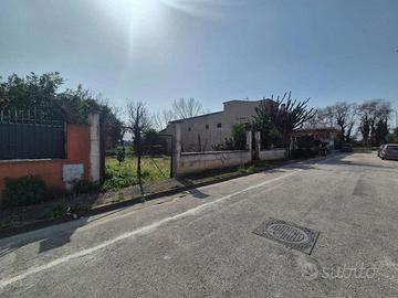 Terreno Agricolo Caivano [TERRENO AGRICOLO VCG]