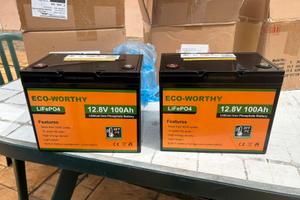 Eco worthy 12v 100ah