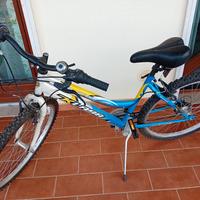 Bicicletta da donna