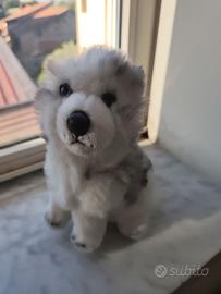 PELUCHE CANE