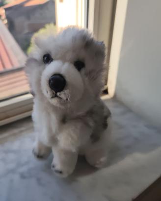 PELUCHE CANE