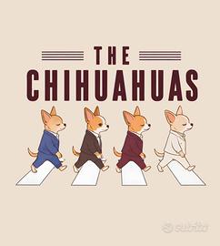 Chihuahua mini