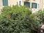 Immagine 10