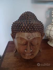 testa budda
