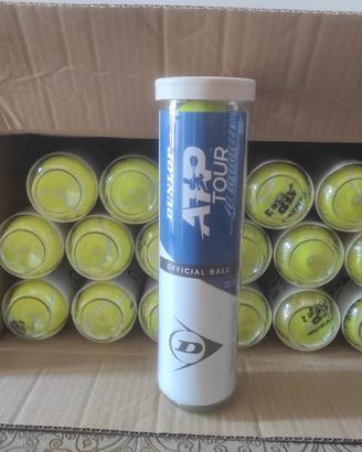 Palle da tennis Dunlop Atp Tour