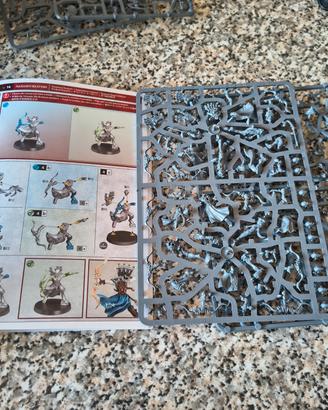 Guardia morrsarr Akhelian (disponibili 2 set)
