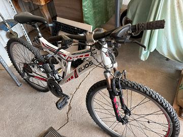 Bicicletta