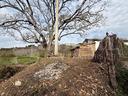 terreno-agricolo-pianopoli-cod-rif-3225001vrg-