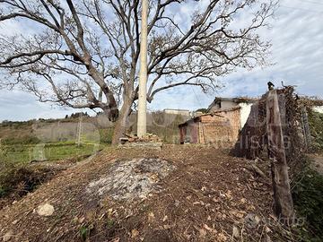 Terreno Agricolo Pianopoli [Cod. rif 3225001VRG]