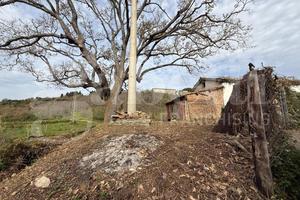 Terreno Agricolo Pianopoli [Cod. rif 3225001VRG]