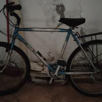 Bici  MTB greenbike