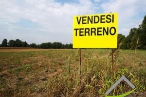TERRENO AGRICOLO