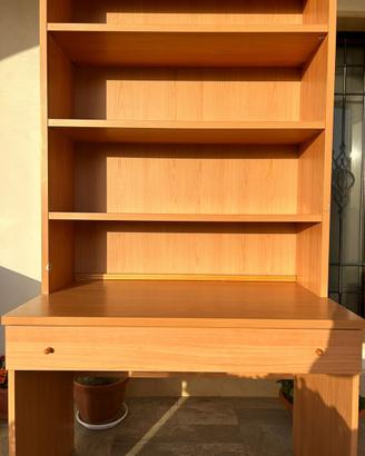 Scrivania con libreria