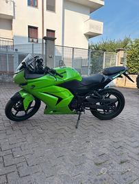 Kawasaki Ninja 250R