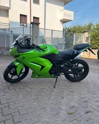 Kawasaki Ninja 250R