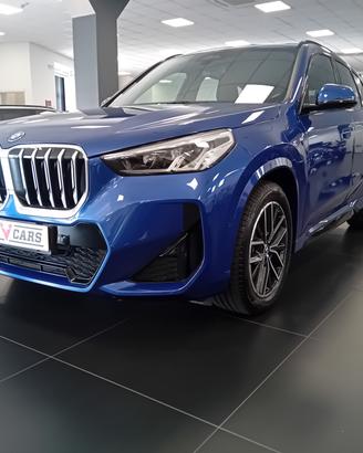 Bmw X1 xDrive 25e Msport