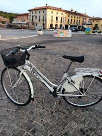 la bici per la spesa