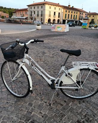 la bici per la spesa