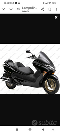 Honda Forza 250 x