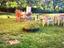 Immagine 30