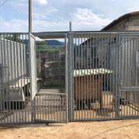 Box per cani euro 3.000,00