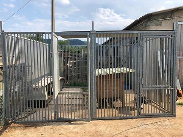 Box per cani euro 3.000,00