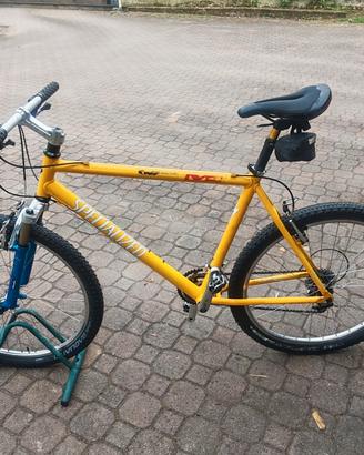 Mtb specialized taglia L