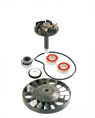 Kit revisione pompa H2O scooter Piaggio 125 - 200 