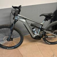 Ebike cannondale
