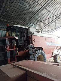 Mietitrebbia Laverda Fiatagri L 521 MCS