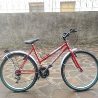 bicicletta