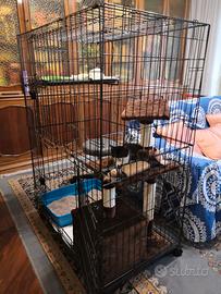 Gabbia per gatti Amazon Basics