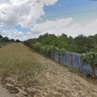 Terreno ad Uso Agricolo in Località Santa Rosa