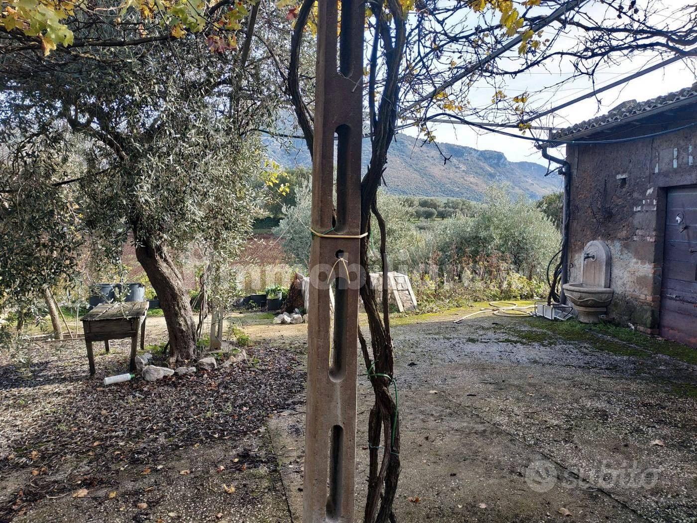 Terreno con vigneto, uliveto e pozzo e magazzino - Vista 3