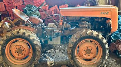 Trattore FIAT 251R Montanina|edizione rara e unica