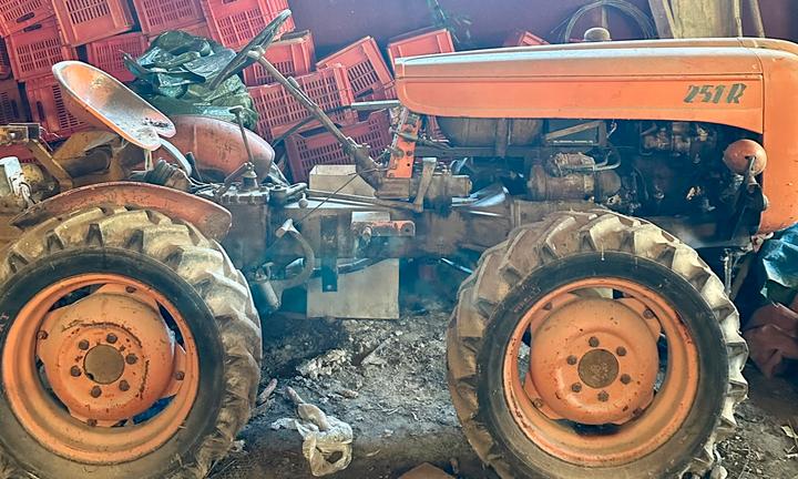 Trattore FIAT 251R Montanina|edizione rara e unica